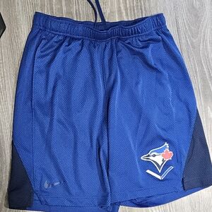 Blue Jay Men's Blue Athletic Shorts